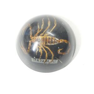 Real Scorpion in Resin Dome Paperweight Black Vintage Specimen Display Tucson AZ